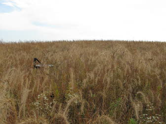 Restored Prairie Entrance
