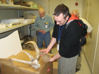 Comparing specimens